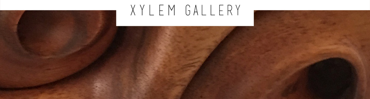 Xylem Gallery - Featured Artist, Michael Graham