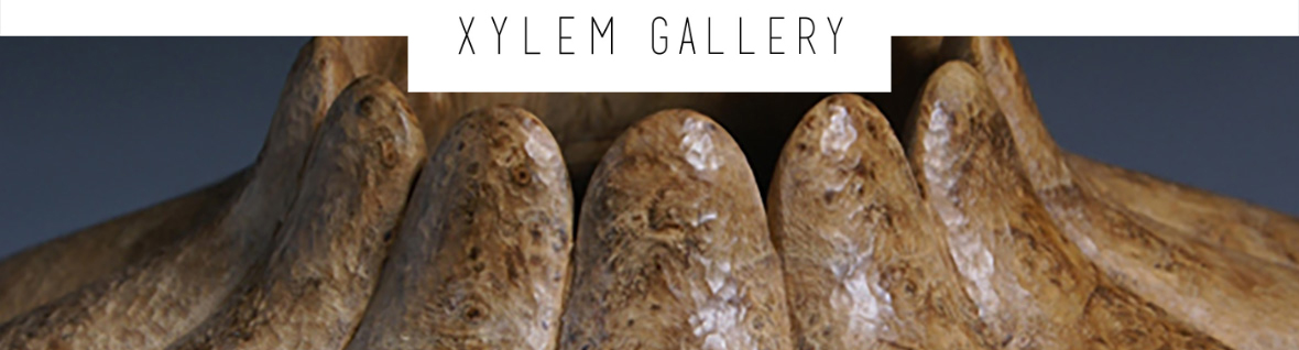 Xylem Gallery - Featured Artist, John Jordan