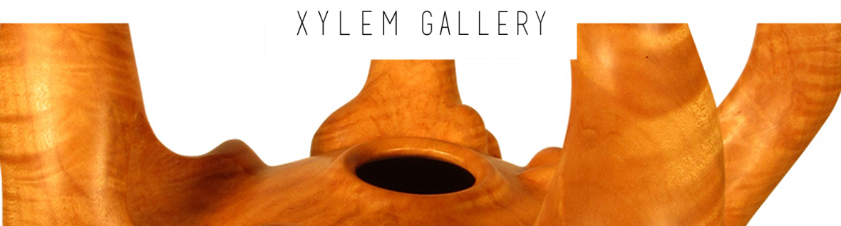 Xylem Gallery - Featured Artist, Hugh McKay