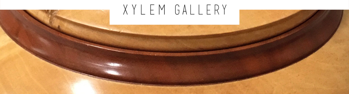 Xylem Gallery - Featured Artist, Michael Mode